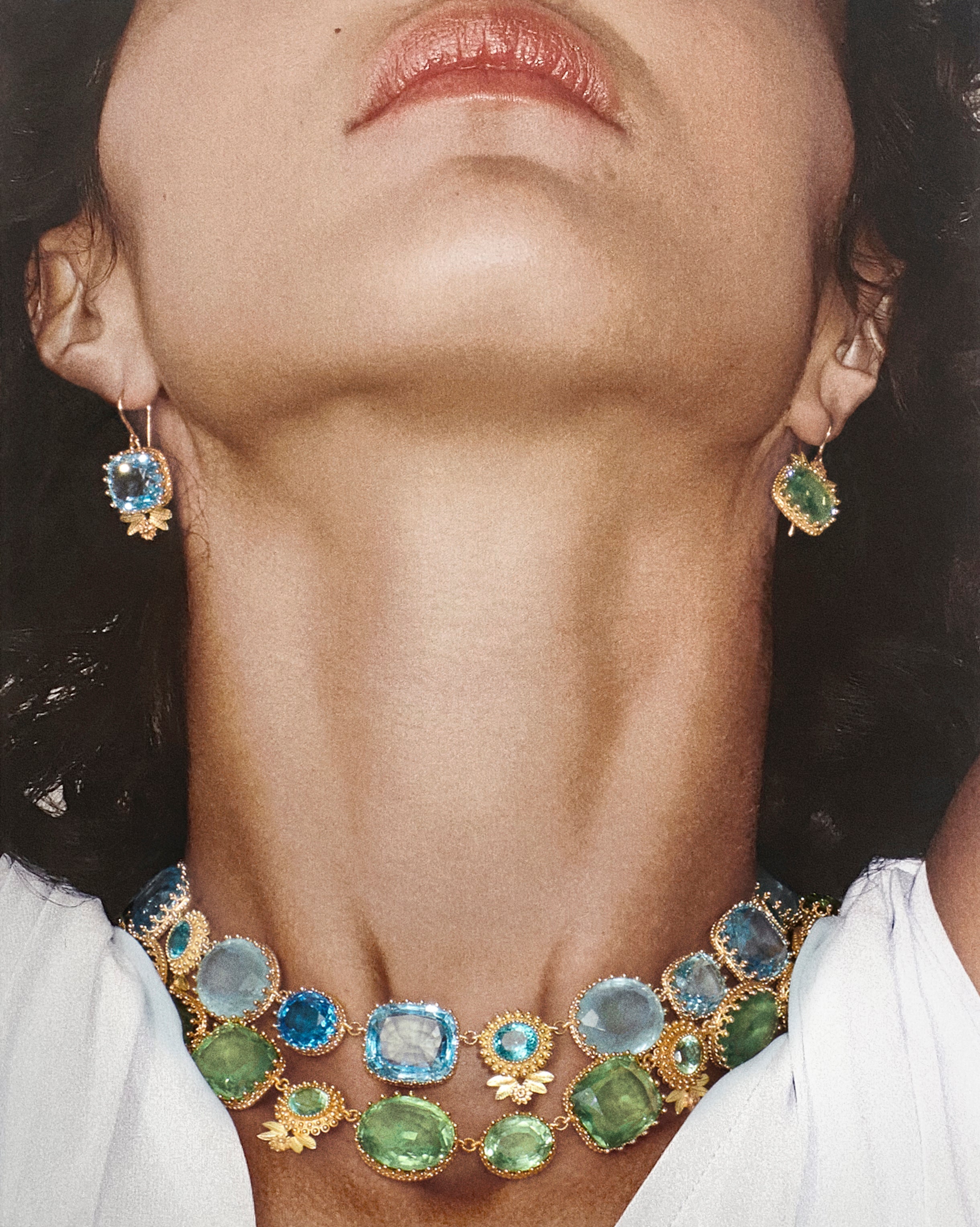 時の記憶を宿す宝石たち【ピエールリーコレクション】 – Mellerio Japan