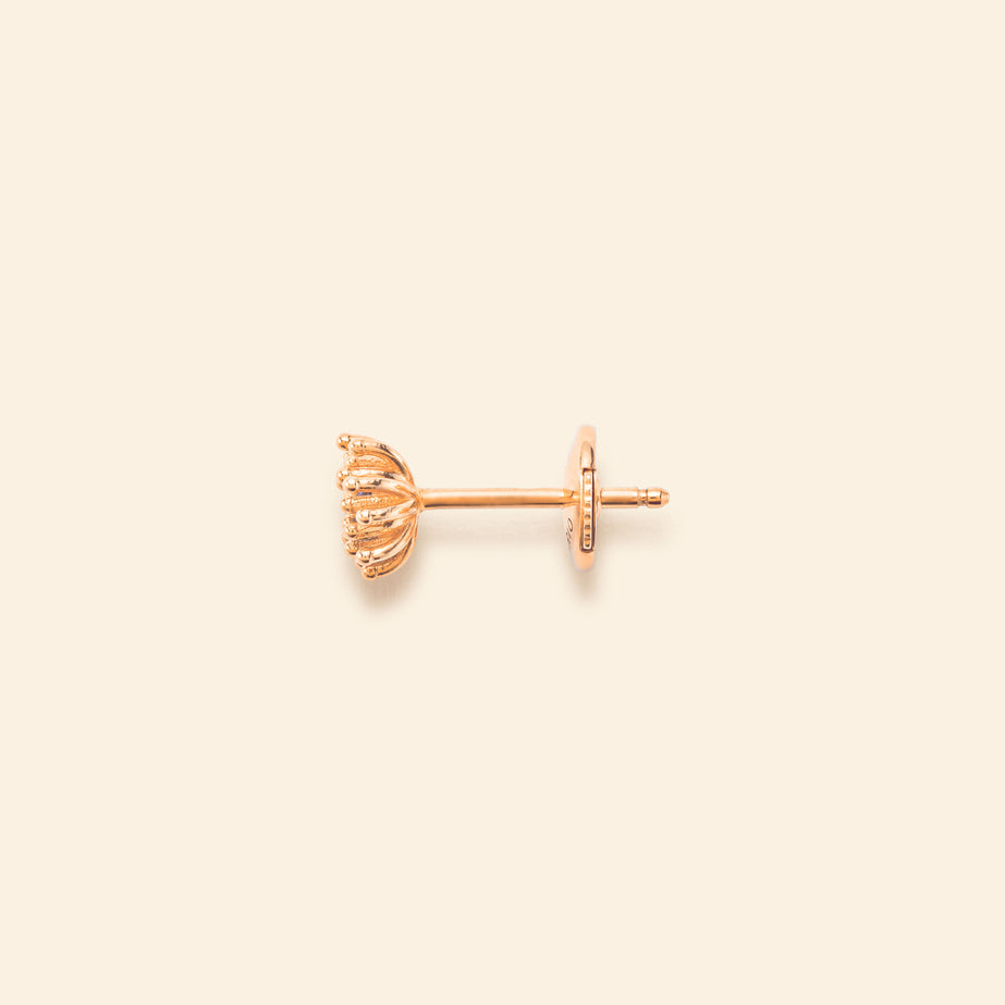 プチ カクタス ヴァニーユ ブルー ピアス
