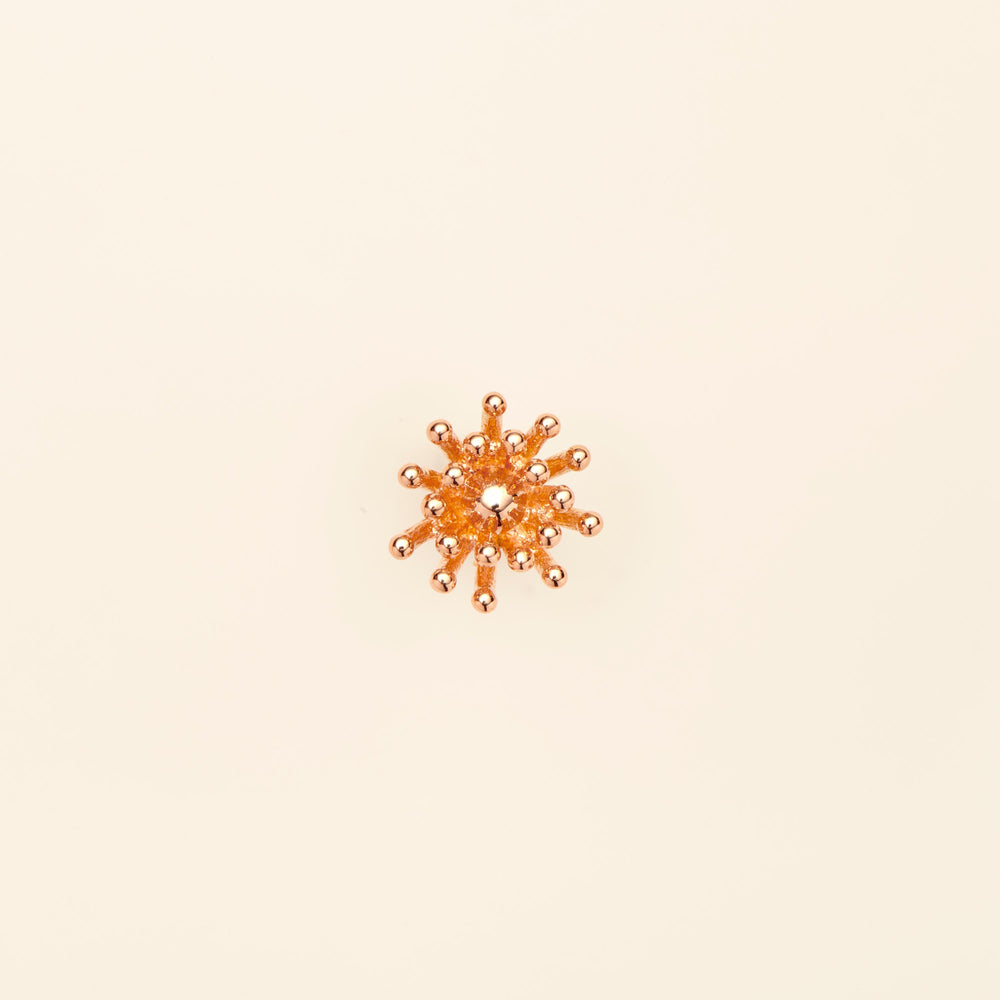 プチ カクタス ヴァニーユ ピアス