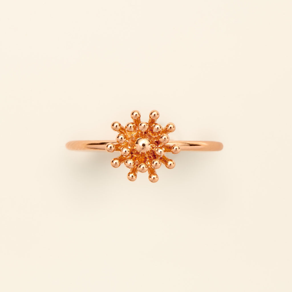 le-petit-cactus-vanille-ring-
