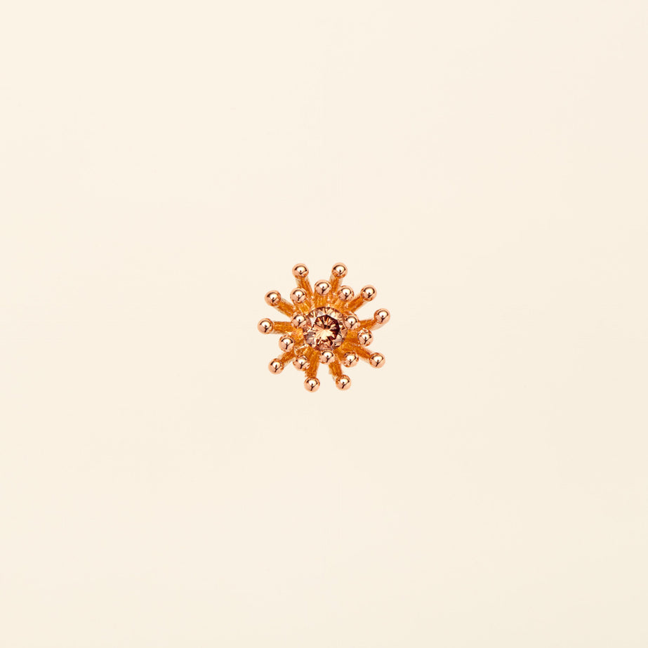 プチ カクタス ヴァニーユ ブラウンダイヤモンド ピアス