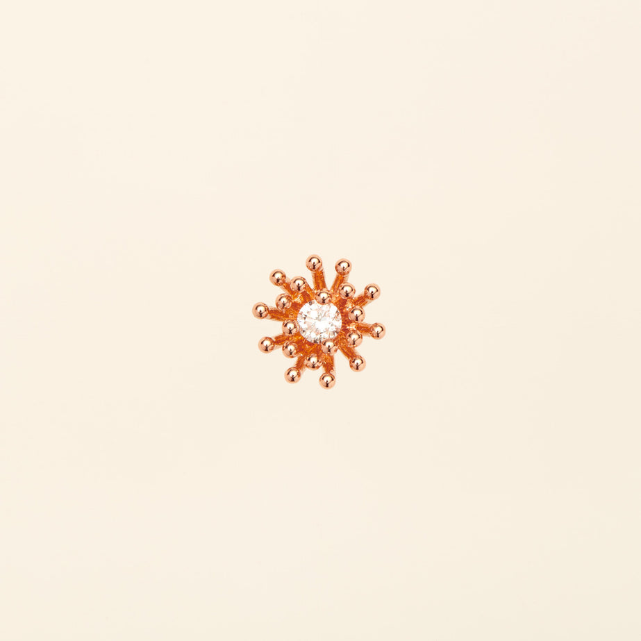 プチ カクタス ヴァニーユ ダイヤモンド ピアス